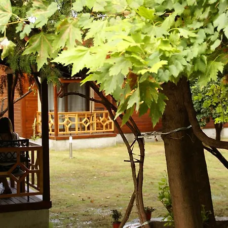 Kemp Maji Village Çıralı