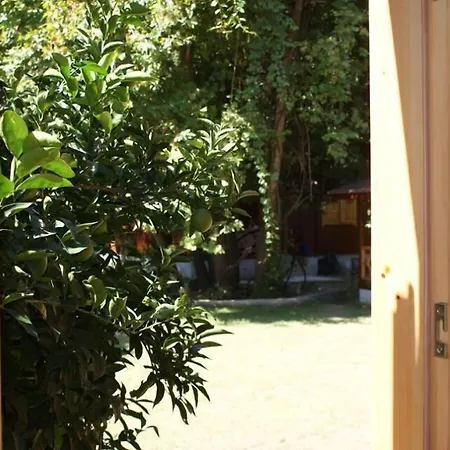 Maji Village Kemp Çıralı