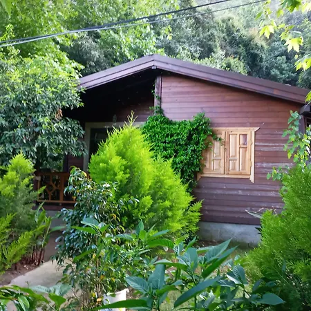 Kemp Maji Village