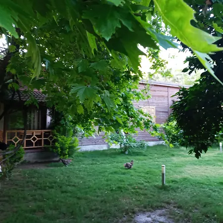 Maji Village 3* Çıralı