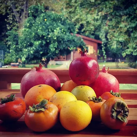 Maji Village Çıralı