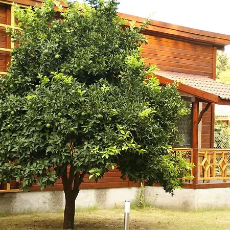 Campsite Maji Village 3*